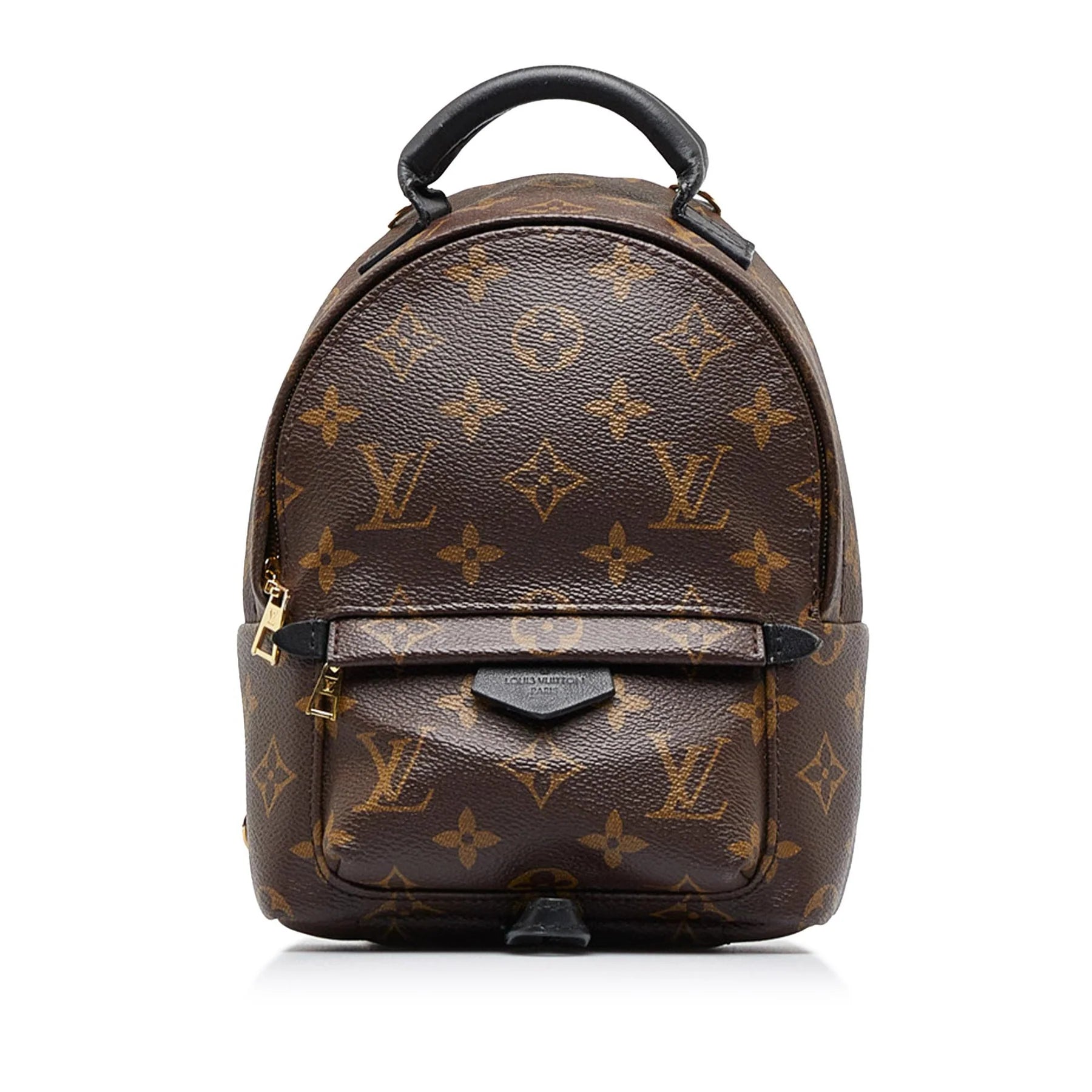 Louis Vuitton Palm Springs Monogram (Updated Zipper) PM in Coated Canvas  with Gold-tone - US
