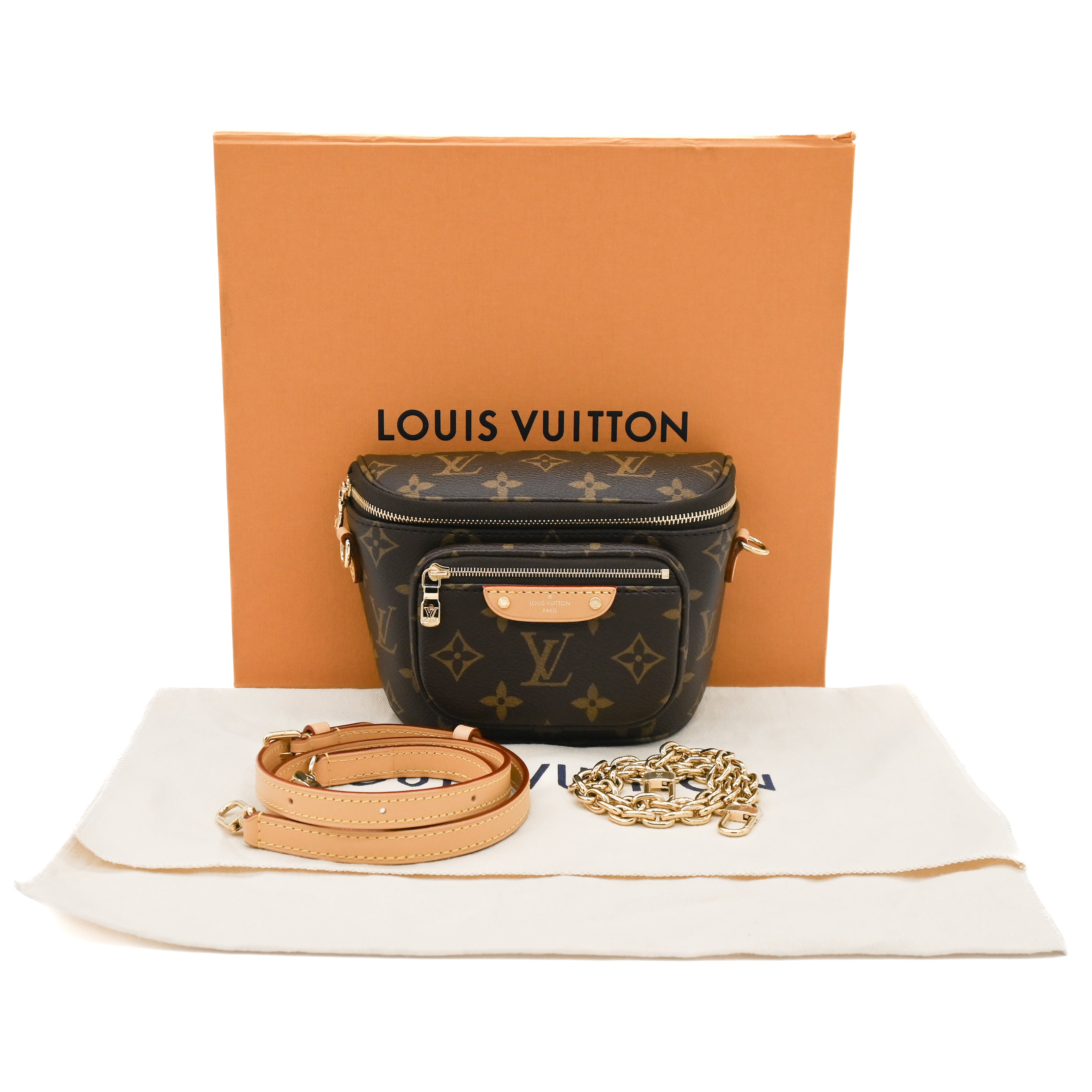 LOUIS VUITTON Louis Vuitton Monogram Mini Bum Bag - Vault 55