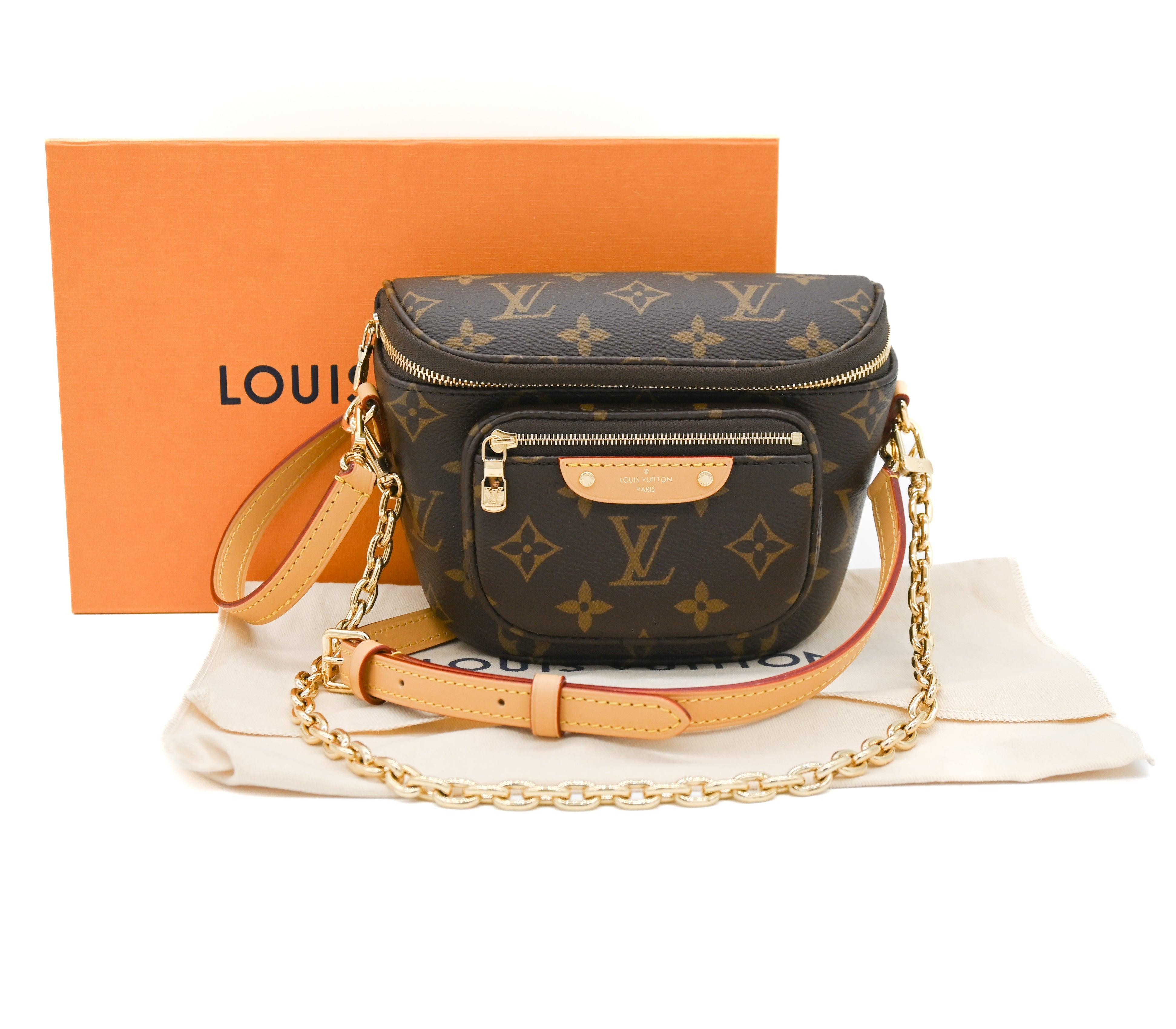 LOUIS VUITTON NEW IN BOX Louis Vuitton Monogram Mini Bum Bag - Vault 55