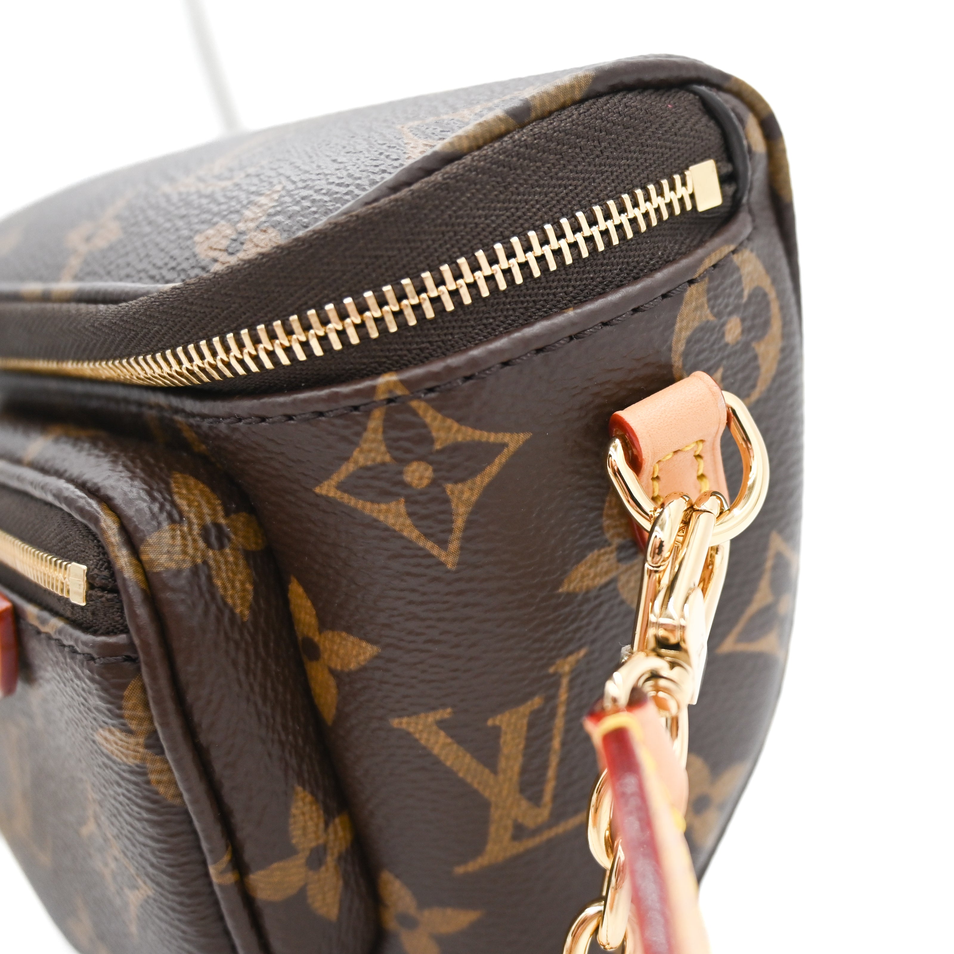 Louis Vuitton Monogram Mini Bum Bag – Vault 55