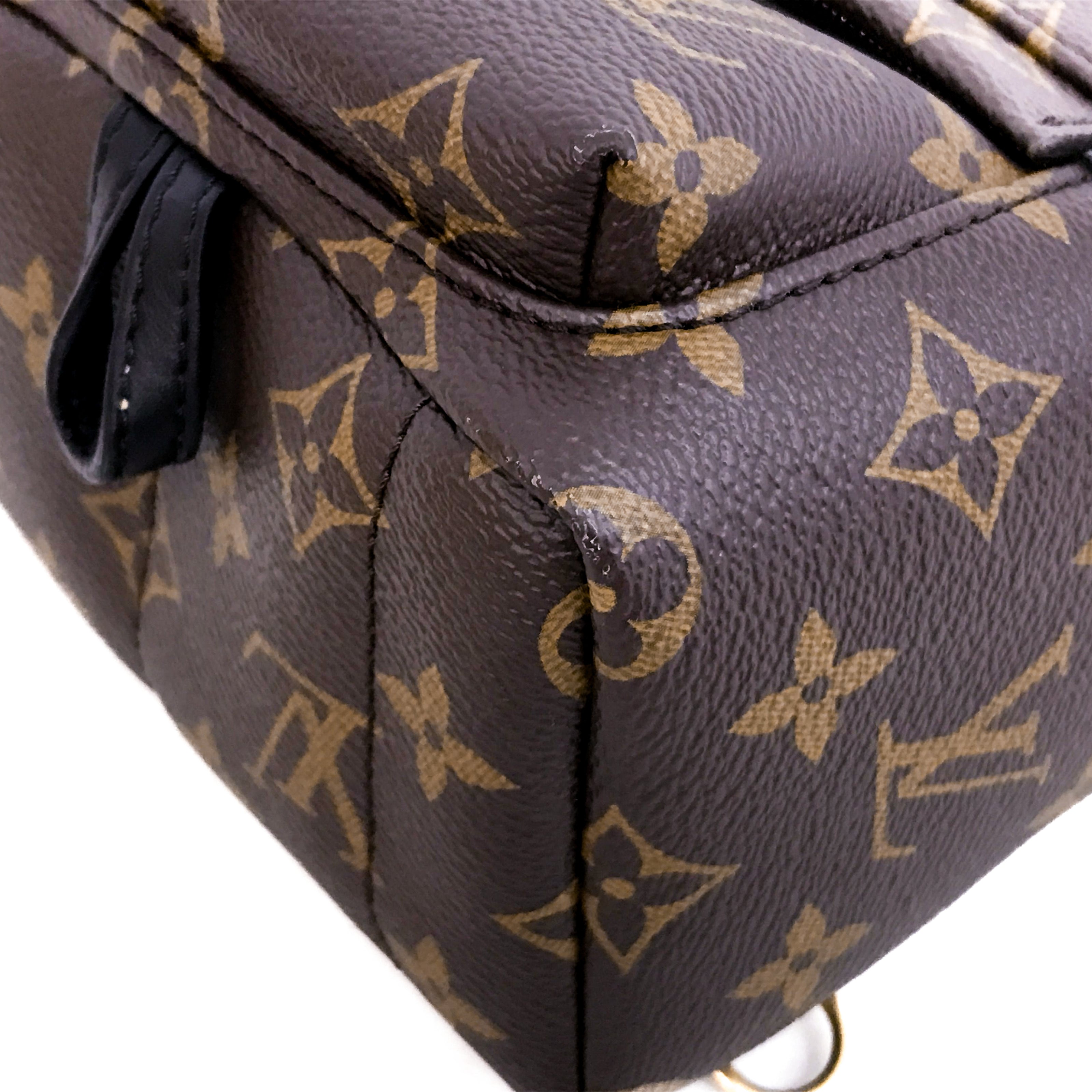 Louis Vuitton Monogram Palm Springs Mini Backpack – Vault 55