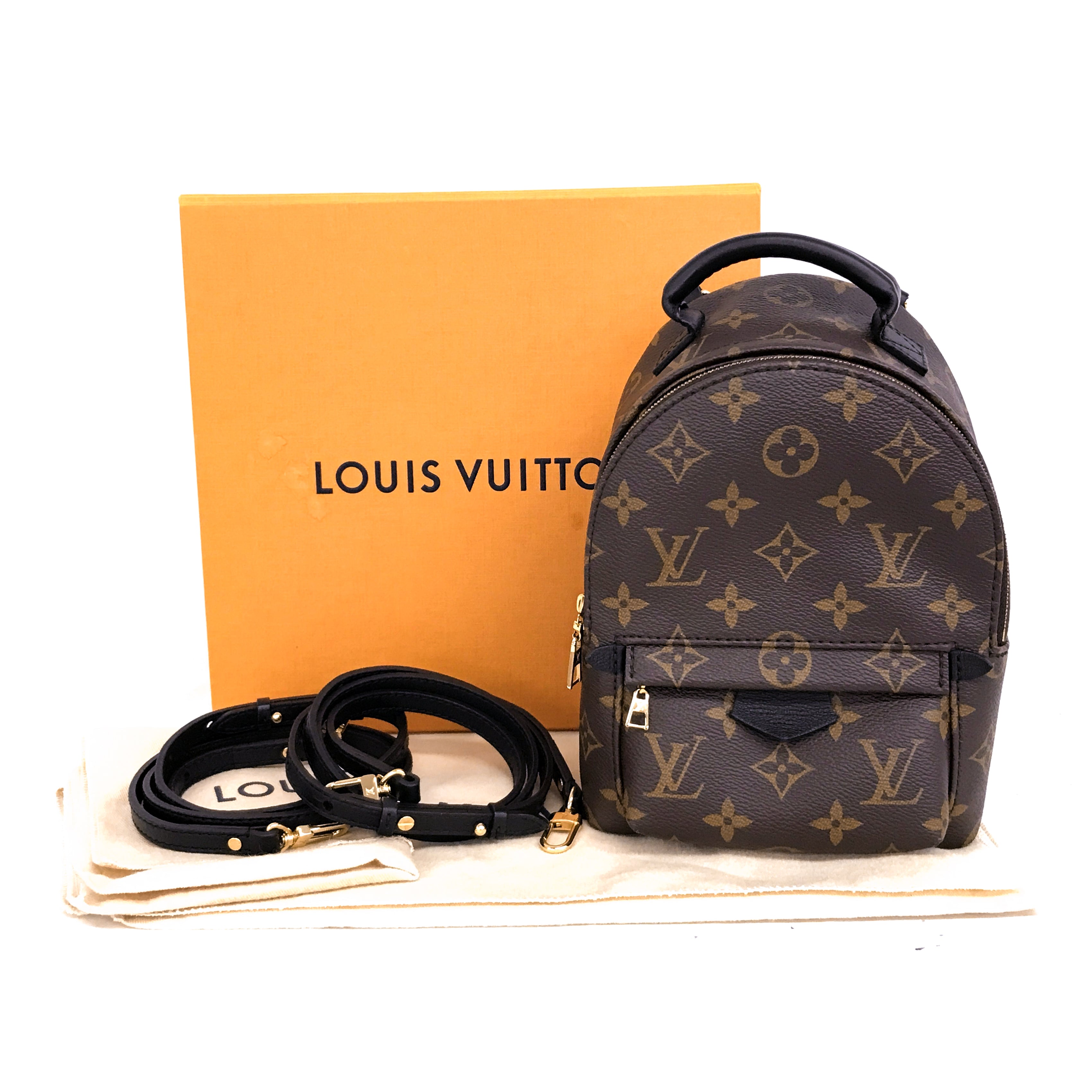 LOUIS VUITTON Louis Vuitton Monogram Palm Springs Mini Backpack - Vault 55