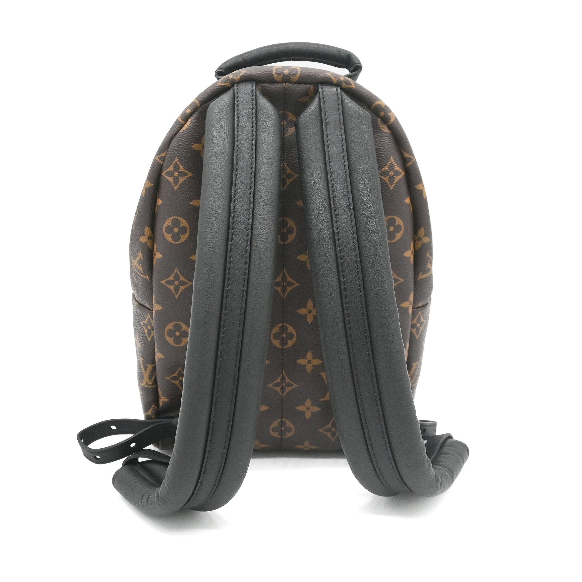 Louis Vuitton Monogram Palm Springs PM Backpack